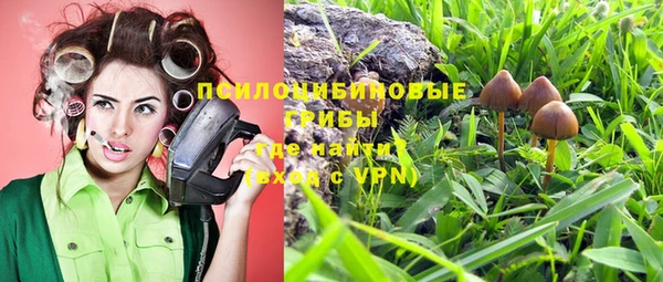 экстази Богородицк